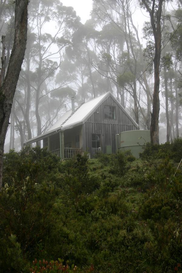 Wombat Cabin Villa Moina Exterior foto