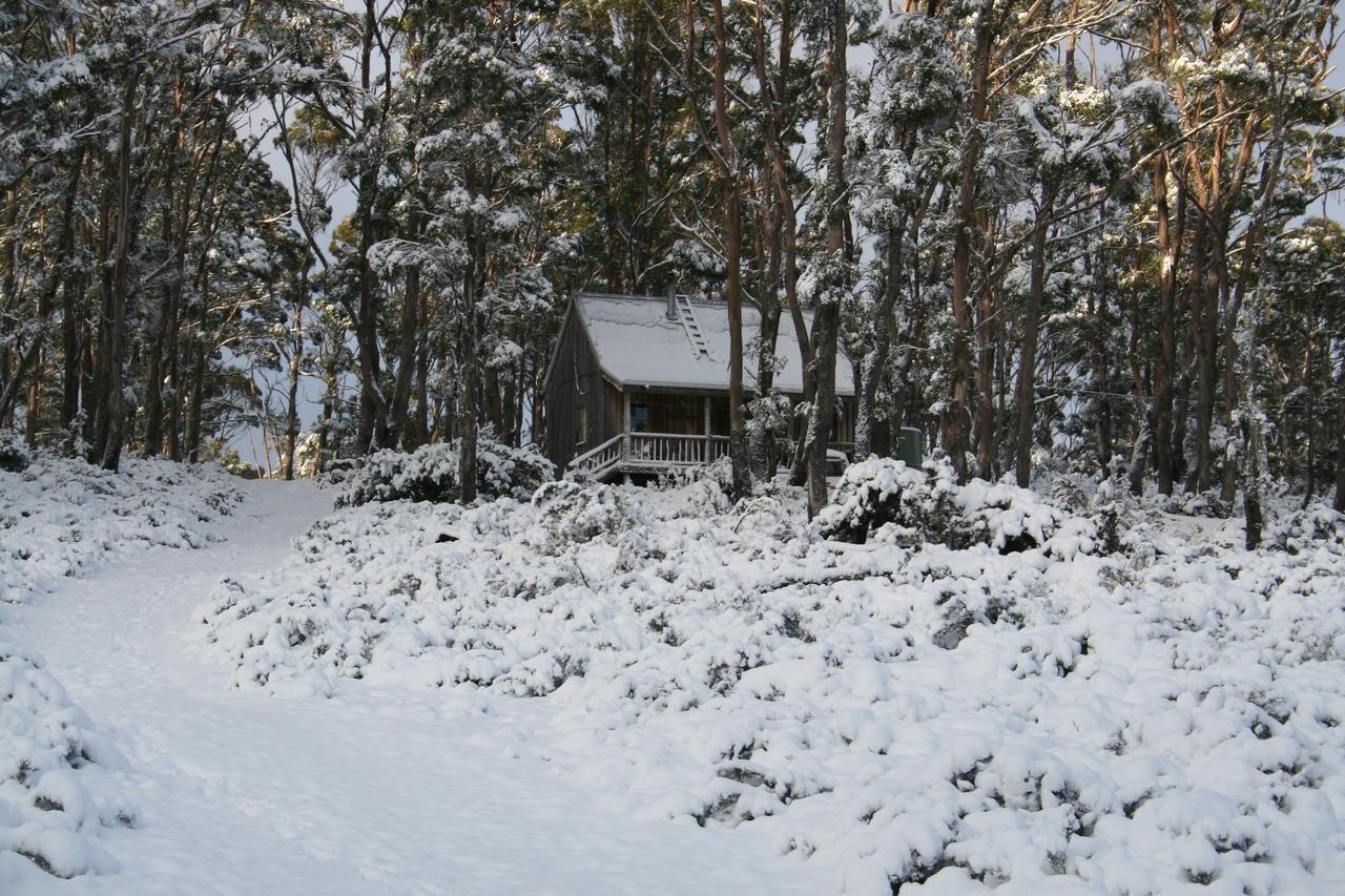 Wombat Cabin Villa Moina Exterior foto